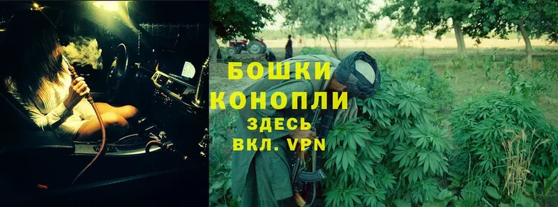 mega как войти  Печора  Каннабис Bruce Banner 